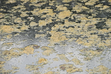 Waste water, Pollutionの写真素材