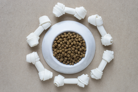 Dog bone and dog food on wood tableの写真素材