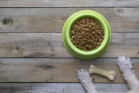 dog food and dog paw on wood tableの写真素材