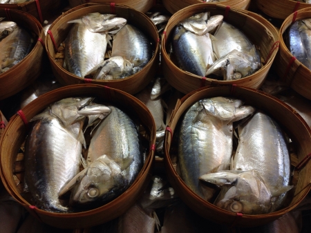 Mackerel fishes in the bamboo basketの素材