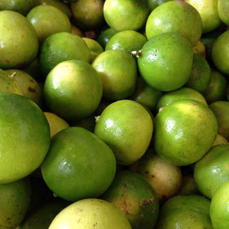 Fresh green limes from the gardenの素材