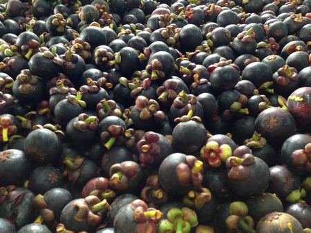 Mangosteens in a box at the orchardの素材