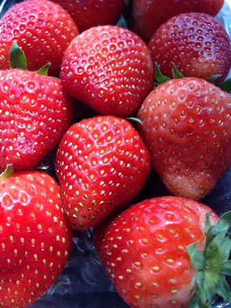 Fresh organic strawberries の素材