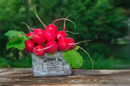 ripe red radish  lying in metall basket on a wooden boardsの写真素材