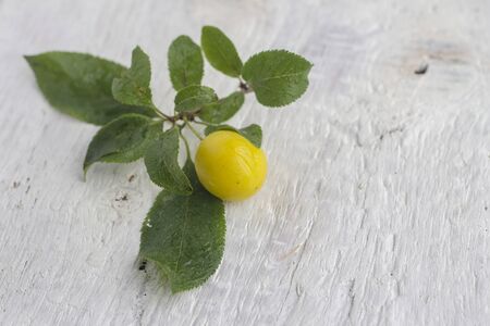 yellow plum with leaves on the white wooden backgroundの写真素材