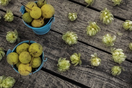 Juicy ripe yellow pears in blue bucket on the old wooden backgroundの写真素材