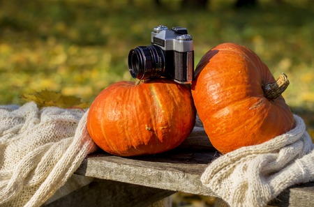 Big orange pumpkin and old camera with yellow leaves, light warm scarf at autumnの写真素材
