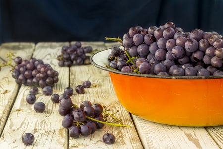 Blue frash grapes in orange metal bowl on the wooden backgroundの写真素材