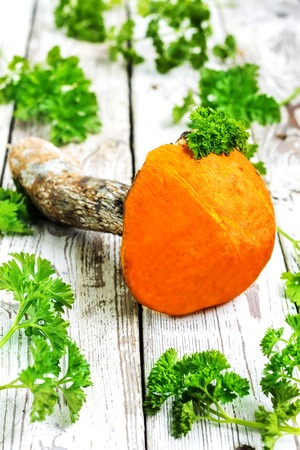 Mushroom Boletus with parsley over Old Wooden white Backgroundの写真素材