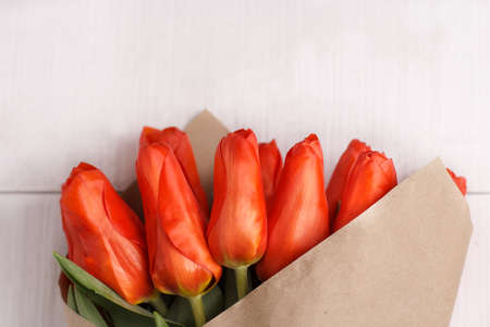 bouquet tulips on white backgroundの写真素材