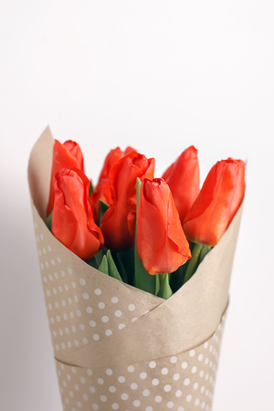 bouquet tulips on white backgroundの写真素材