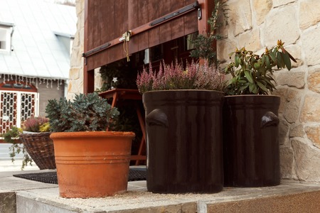 Homegrown and aromatic herbs in old clay pots in spring sunny dayの写真素材