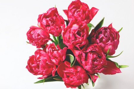 Spring boquet of red and pink tulips. Floral white background with space for text. Retro styleの写真素材