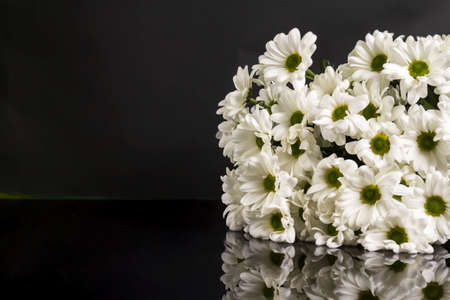 The bouquet of white flowers of a chrysanthemum on black background.の写真素材