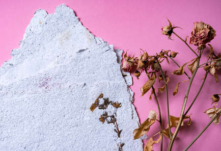 Eco trends. Sheets of recycled paper with dried roses. Secondary production. Making paper with your own hands at home.の写真素材