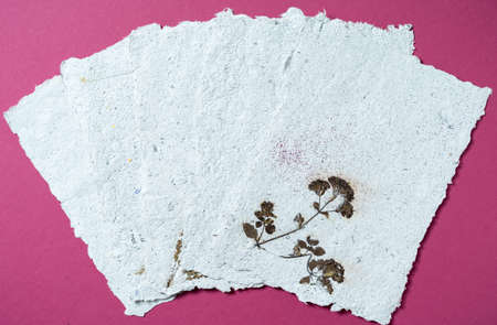 Sheets of recycled paper with dried flowers. Secondary production. Making paper with your own hands...