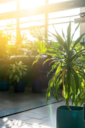 Industrial premises with green plants. Careful attitude to nature, conservation of resources, care for the environment.の写真素材