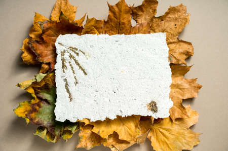 A sheet of recycled paper on yellow autumn leaves