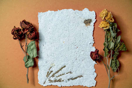 Autumn dried flowers and leaves with a sheet of recycled paper on an orange or beige backgroundの写真素材