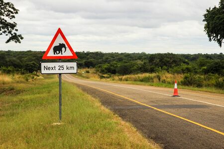 African road sign with the image of the animal - an elephant on the road of Namibiaの写真素材