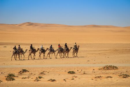Sossusvlei, Namibia - April 28, 2015: The highest sand dunes in the world at sunset in the Namib Desert, in the Namib-Nacluft National Park in Namibia. People on camels cross the desertのeditorial素材
