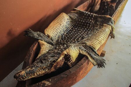 Ngonye Falls, Zambia - April 9, 2015: The skin of a dead crocodile in a local souvenir shop