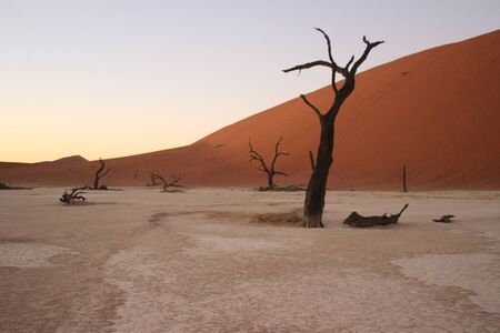 Dead Vlei in the southern part of the Namib Desert, in the Namib-Nacluft National Park in Namibia. Sossusvleiの写真素材