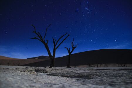 The Milky Way and the night sky over the Namib Desert, Sosusfleu Park. Namib-Naukluft National Park. Namibiaの写真素材