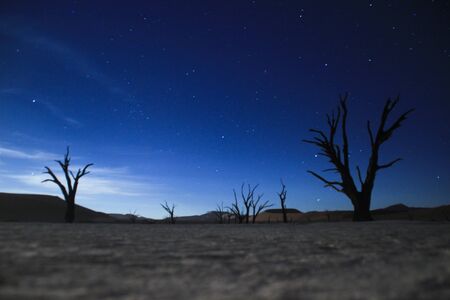The Milky Way and the night sky over the Namib Desert, Sosusfleu Park. Namib-Naukluft National Park. Namibiaの写真素材