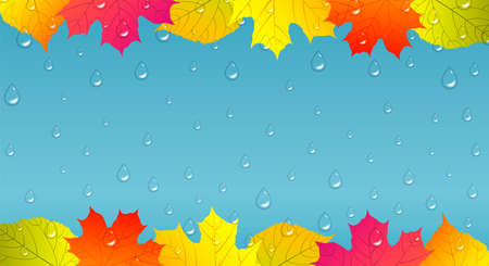 Autumn background with colorful leaves and raindrops.のイラスト素材