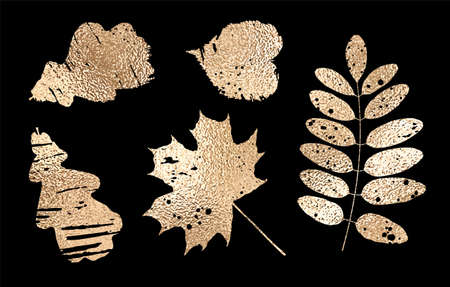 Set of leaves silhouettes with faux gold texture. Vector illustration isolated on black background.のイラスト素材