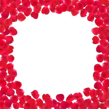 Background with realistic red rose petals isolated on white background.のイラスト素材