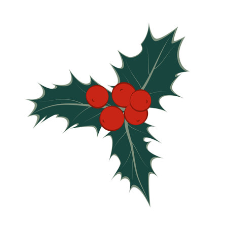 Holly sprig with berries. Christmas symbol. Vector illustration on a white background.のイラスト素材