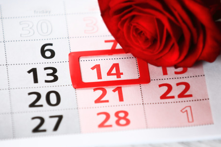 red rose lays on the calendar with the date of February 14 Valentine's dayの写真素材