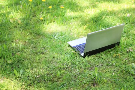 Woman sit to use silver laptop at parks in the city with gold light, Bangkok Thailandの写真素材