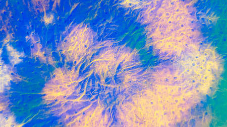 Shibori Fabric. Deep Blue Fabric. Cool Trandy Banner. Grunge  Acrylic Artwork. Abstract Shibori...