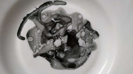 Aquarelle Drawing. Graphic Background. Translucent Image. Black White Aquarelle Drawing. Alcohol Ink...