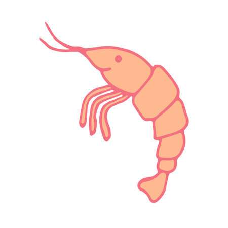 Pink shrimp, doodle hand drawing colorful icon for meal menu, seafood bar, cafe, editable object on white backgroundのイラスト素材