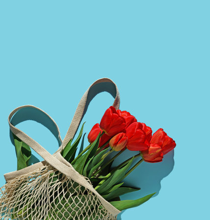Bouquet of brightly red tulips in a white string bag on a blue background. Conception of congratulations and a gift. Flat lay, top view.の写真素材