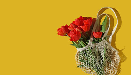 Bouquet of brightly red tulips in a white string bag on a yellow background. Conception of...