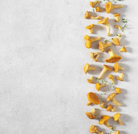 chanterelle mushrooms redy for cooking. Composition with wild mushroomsの写真素材