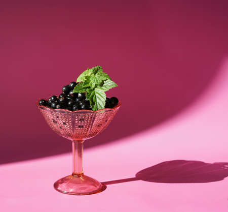 Fresh black currant in a glass pink cup. Hard light, pink backgroundの写真素材