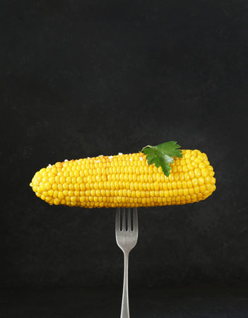 boiled corn on the fork with salt and parsley leaf on dark backround, copy spaceの写真素材
