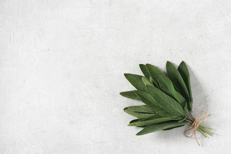 Bunch of fresh organic sage. Seasonings and spices. Selective focus, copy spaceの写真素材