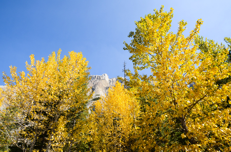 Icefields Parkway in Autumn, Canadian Rockiesの写真素材