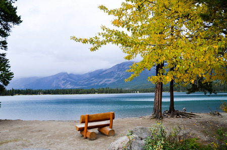 Bench and Yellow Leaves at side of Edith Lake, Canadian Rockiesの写真素材