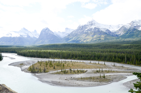 Canadian Rockies, Autumn Scenery of Icefields Parkway, Saskatchewan Crossingの写真素材
