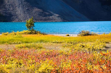 Bow Lake in Autumn, Canadian Rockies, Alberta, Canadaの写真素材