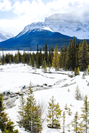 Stream Covered With Snow in Winter, Canadian Rockies, Alberta, Canadaの写真素材