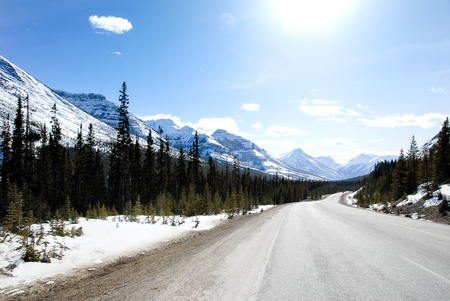 Highway 93-Kootenay Highway, Canadian Rockiesの写真素材